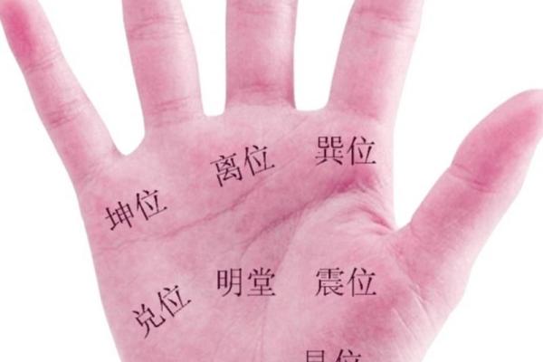 手相算命图解，手相图解大全