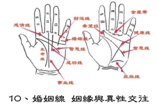 手相算命图解，手相图解大全