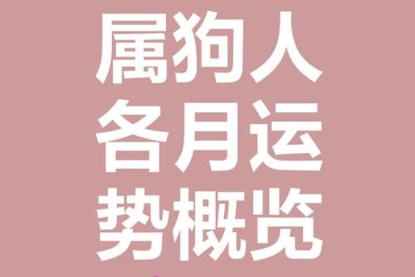 属狗出生最好六个吉日,属狗什么日子出生最好