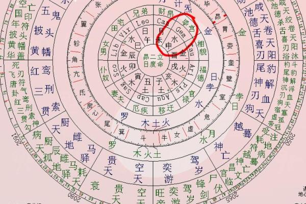 命格查询紫薇斗数