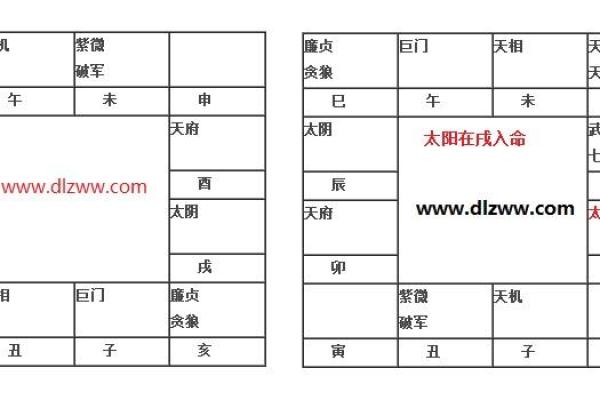 令东来紫薇斗数