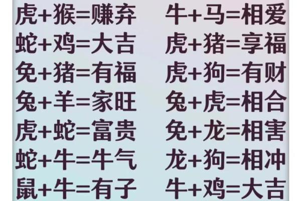 婚姻属相配对大全很准 婚姻属相配对大全很准十二生肖男女属相配对