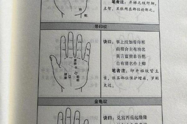 男人手相算命图解揭密男人命运