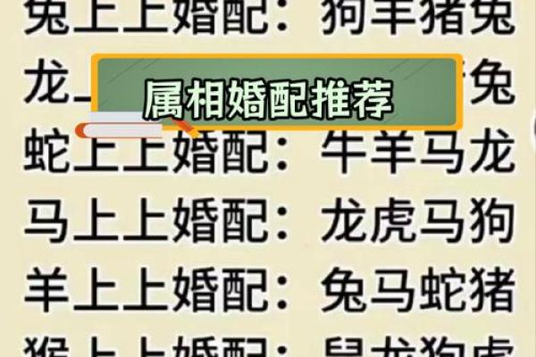 属狗姻缘属相婚配表 属狗的婚姻属相配对？