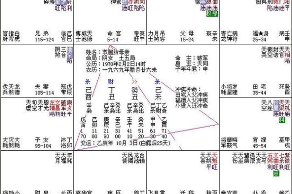 香港紫微命盘免费算命