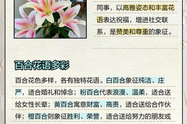 百合姓名配对 名字百合的意思？