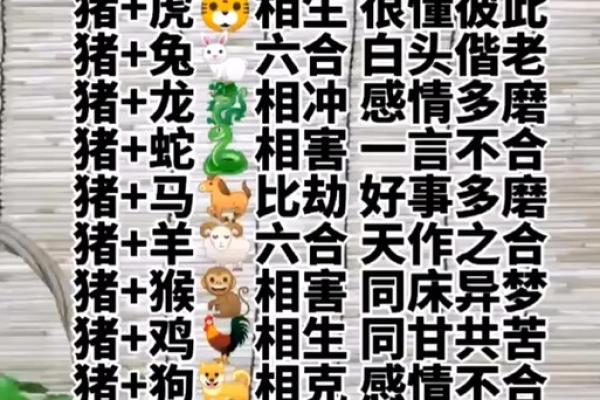 1997年属什么生肖配对