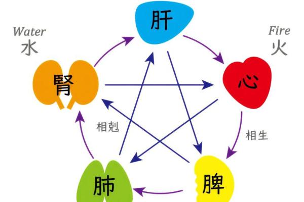 八字夫宫水