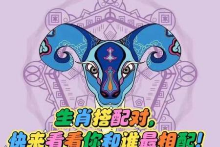 生肖配对：属鼠的和什么属相最配