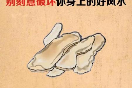简单教你几招，学会自己看风水