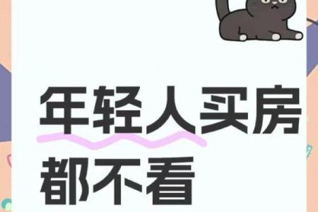 最后一个风水师 丸子