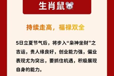 今年运势算命属鸡男