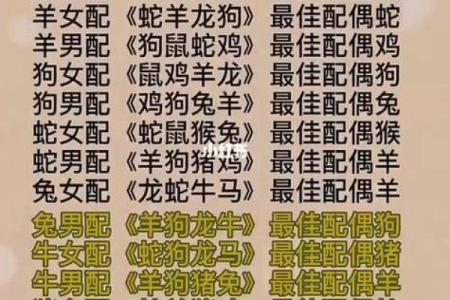婚姻属相配对查询属马 哪些属相与属马最相配