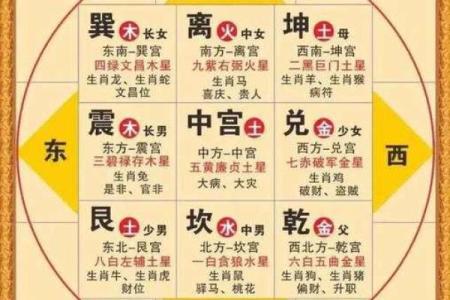 紫薇斗数流年大限