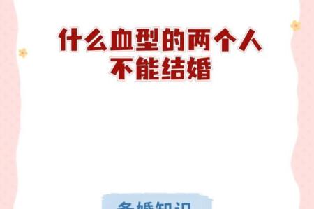 什么血型的人最聪明