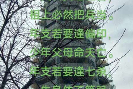 盲派八字断