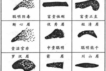 三角眉毛的面相算命图解