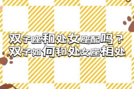 双子处女座配对分析