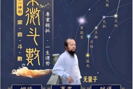 马大夫紫薇斗数