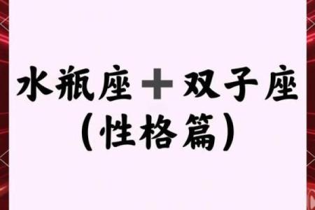 水瓶座和双子座男生配对怎么样