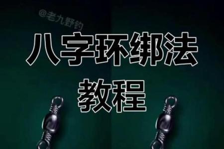 子八字环