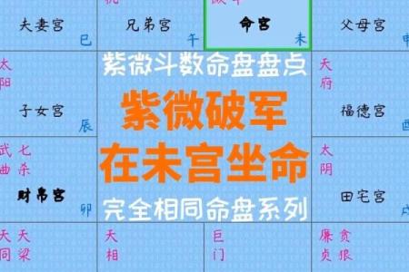 紫薇斗数明星盘