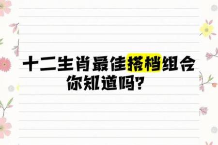 属鼠和什么属相最配对 属鼠和什么属相相冲