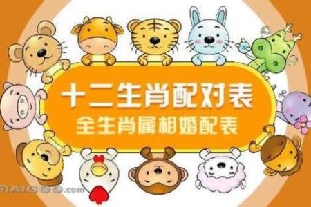 99年属什么今年多大 生肖配对