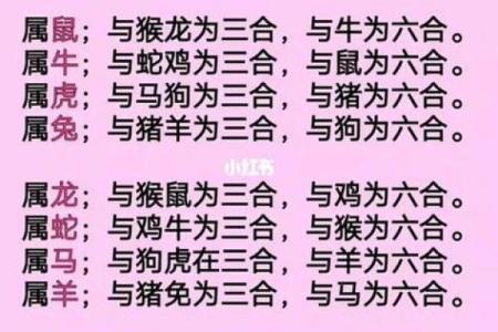 最准的12生肖配对表