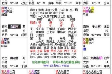 紫薇斗数中的加什么意思
