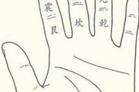 算命里的中年指多大