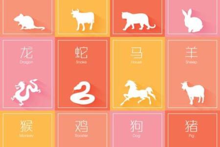 属鼠和属马的八字合不合得来,属马的跟属鼠的合财吗