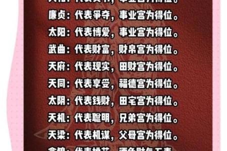 紫微斗数诸星落诸宫之：官禄宫