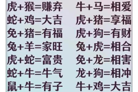 婚姻属相配对大全很准 婚姻属相配对大全很准十二生肖男女属相配对