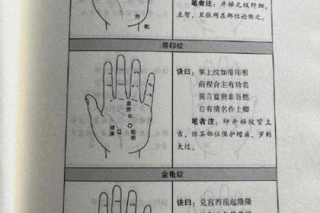 男人手相算命图解揭密男人命运