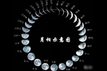 河洛派紫薇斗数