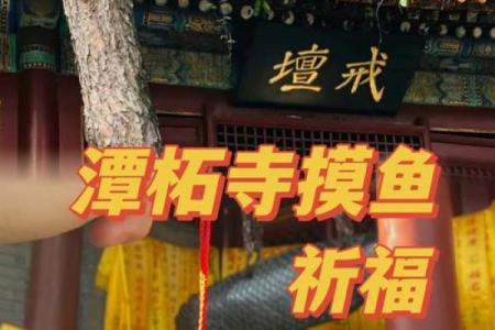 潭柘寺算命