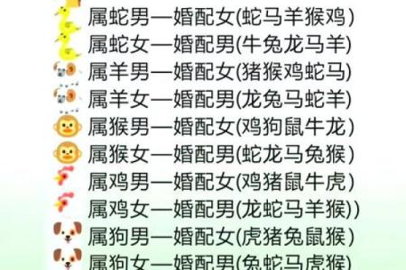 85年属什么的生肖性格 85年属什么的生肖配对兔
