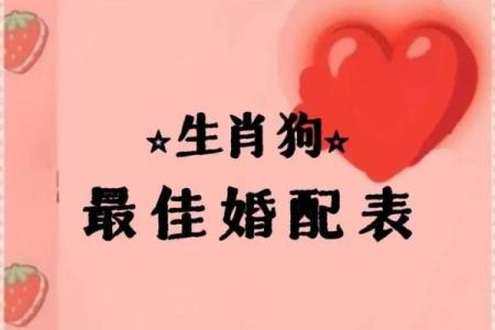 属狗姻缘属相婚配表 属狗的婚姻属相配对？