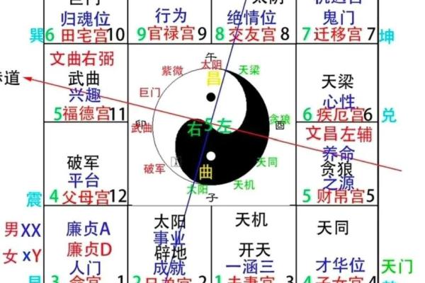 紫微斗数自化多 紫薇自化？