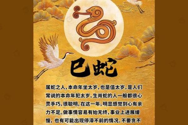 婚姻配对属蛇和属猪相克怎么办