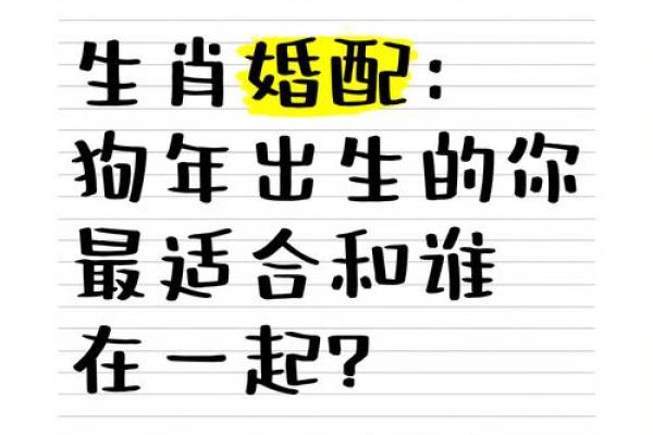 狗的属相配对婚配表