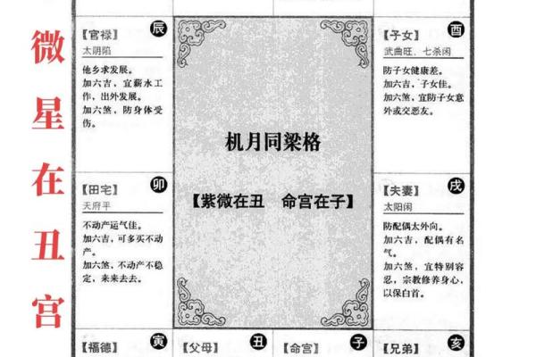 唐艺尹老师分析紫微斗数子女宫看法