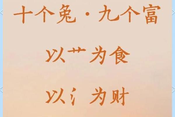 算命兔子在吃草,兔吃草是什么命