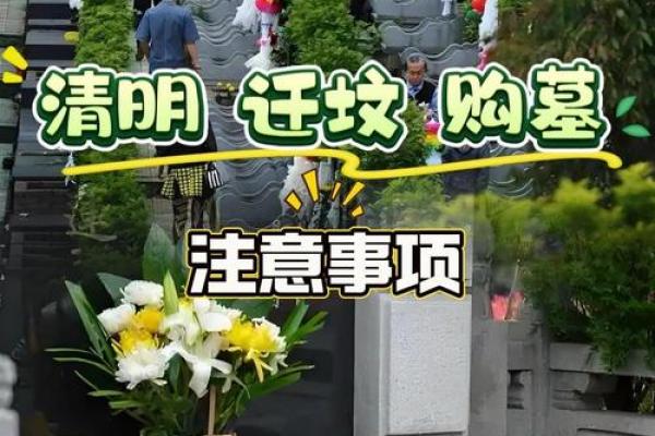 迁坟风水分析：要注意这些忌讳
