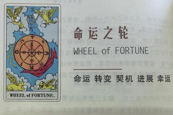 塔罗牌测试：你能和喜欢的人结婚吗？