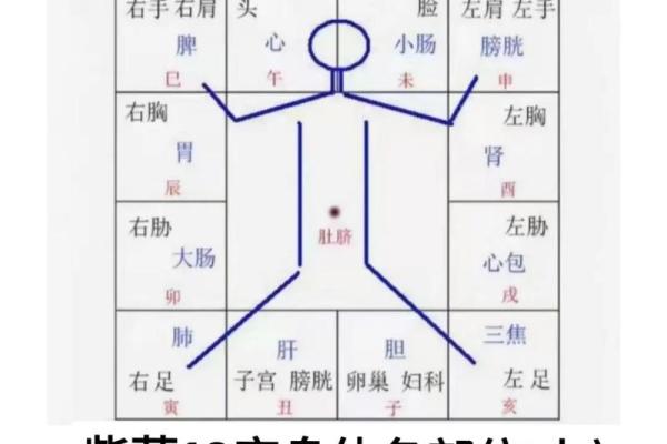 紫薇斗数案例解析