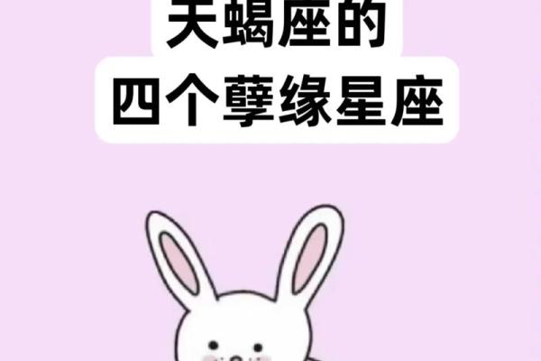 如何看八字合不合