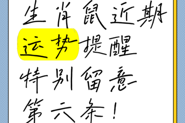 生肖鼠四大血型人的前途