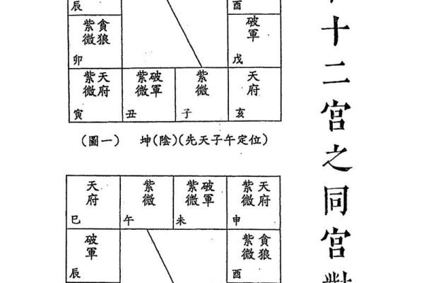 紫薇斗数看润月